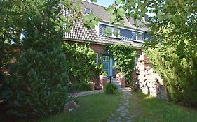 Peaceful Apartment in Ostseebad Boltenhagen with Terrace